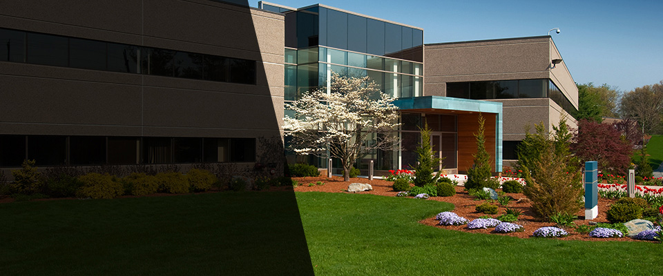 Key Largo Landscapers