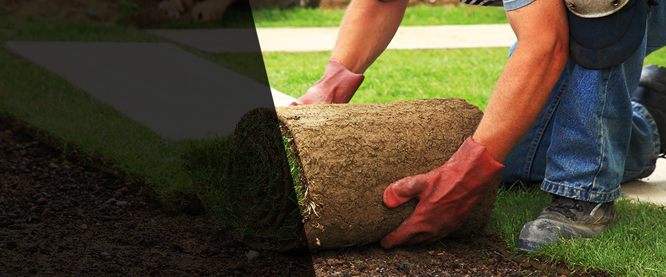 Key Largo Landscapers